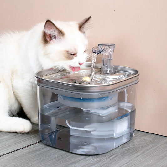 Automatic Fountain