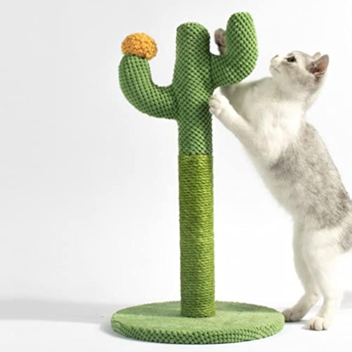 Cactus Cat Scratching Post